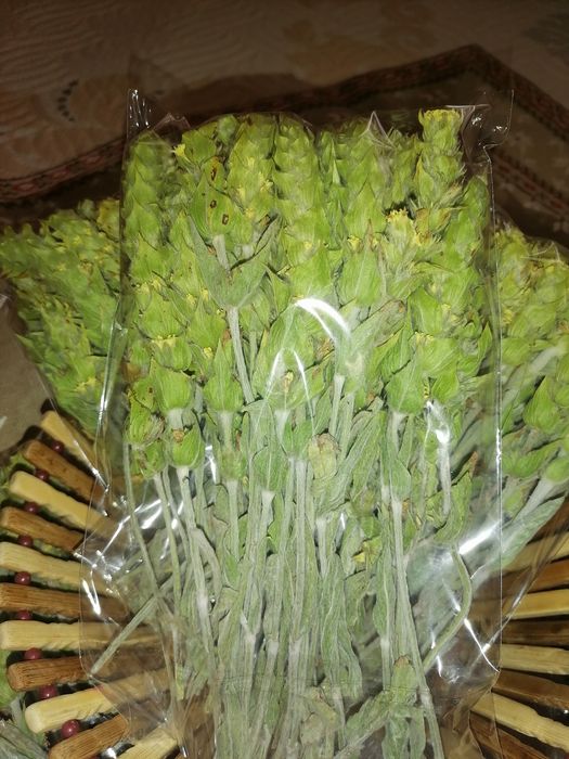 Мурсалски чай от Родопите