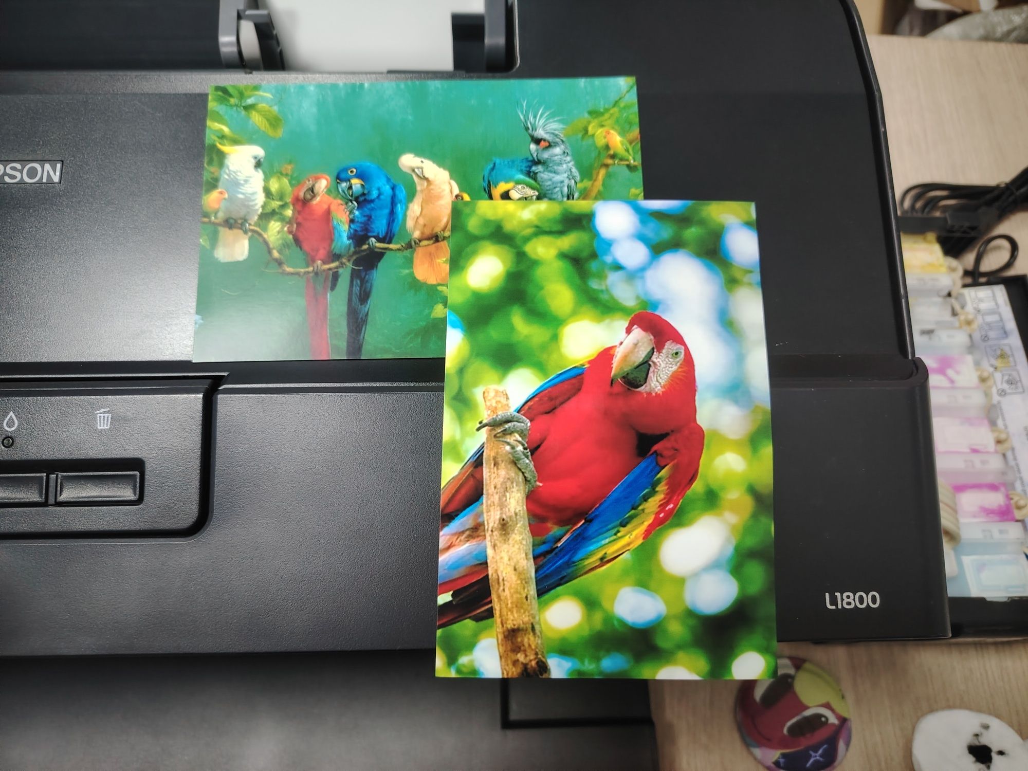 Epson L1800 А3 формат
