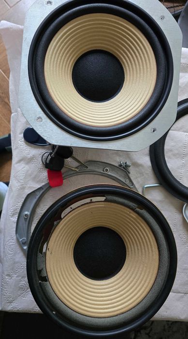 Difuzoare și drivere audio