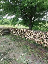 Vand lemne de foc / Tuzifa elado