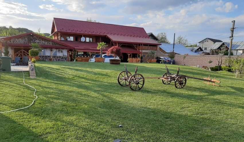 Gazon Rulou Sport sau Rustic