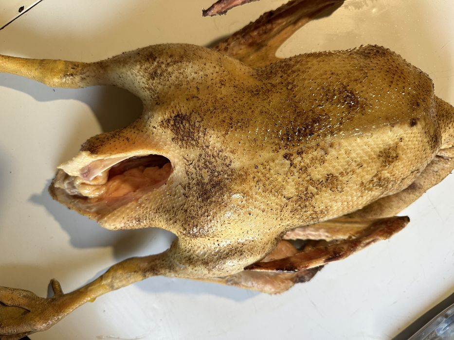 Продаю мясо домашнего гуся