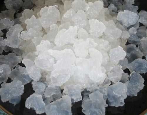 Отдам индийский морской рис