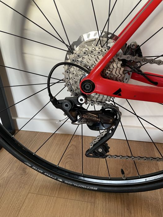 Cursiera Desert Falcon 2 Disc