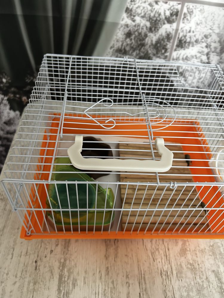Cusca hamster pitic