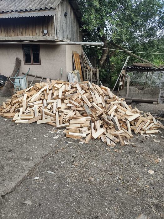 Vand lemne din fag,taiate pentru foc