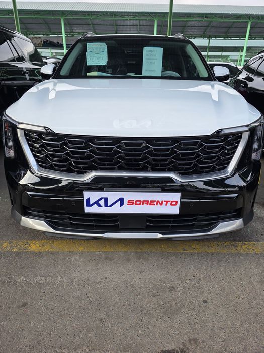 Соренто 2024 года.