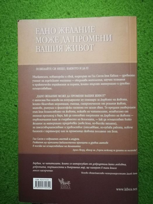Едно желание може да промени вашия живот - Гал Сасон, Стив Уейнстийн