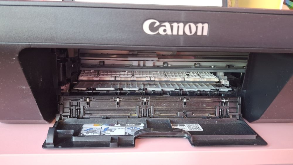 Принтер Canon pixma mg2550s