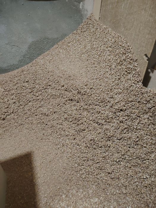 Apilka qipeq bor toza apilka chinor yongʻoq