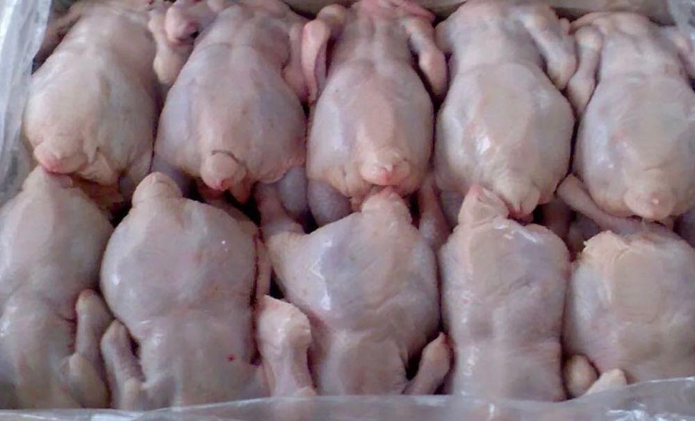 Курица домашняя ( тушки)