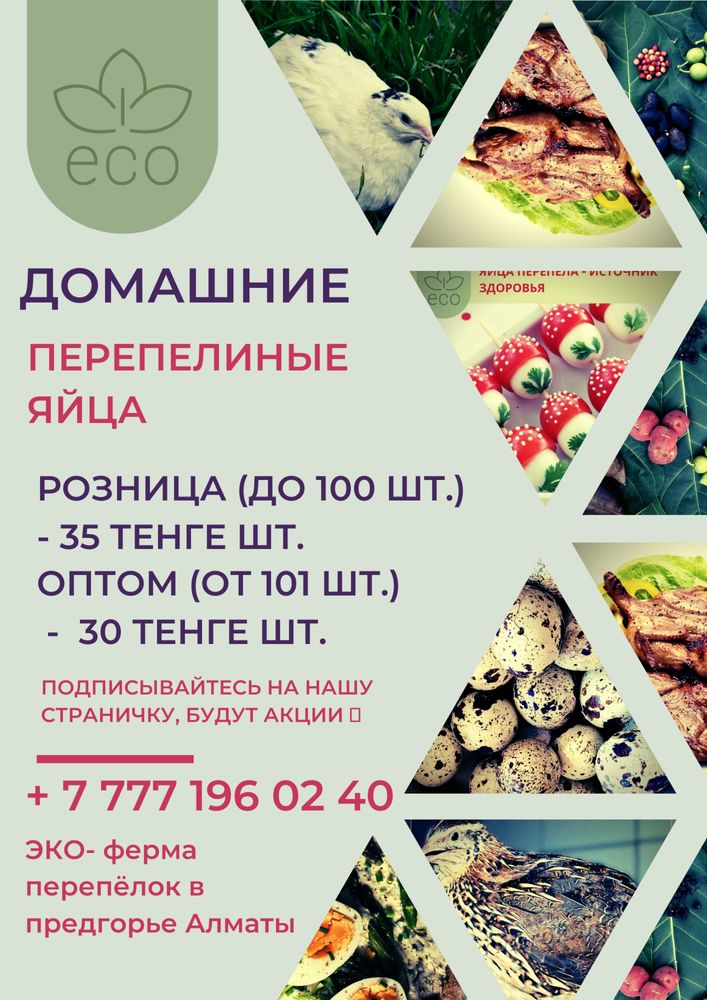 Перепелиные яйца 35тг. шт