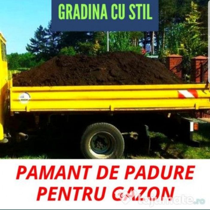 Vand pamant negru / galben / branita livrari la domiciliu