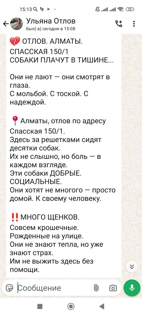 Овчарки, алабай,хаски помогите обрести им дом
