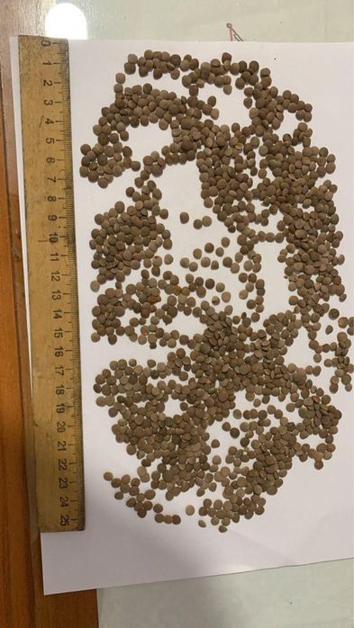 Чечевица красная