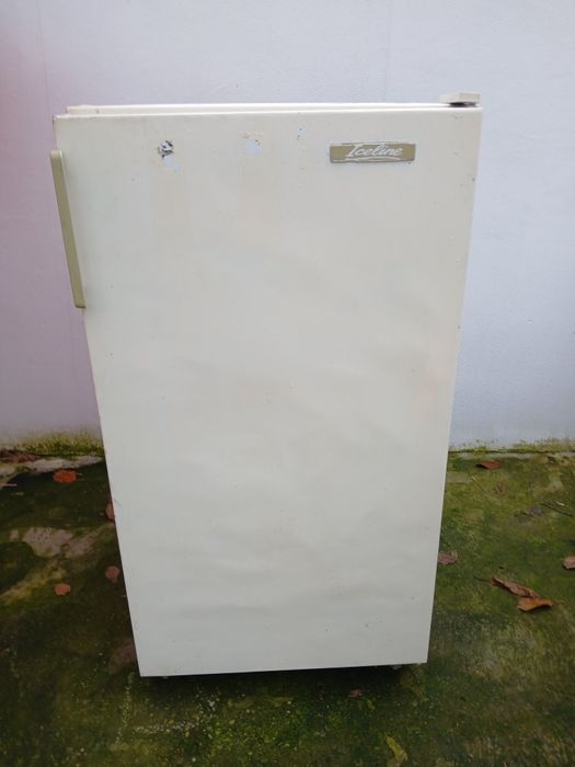 Frigider functionabil .