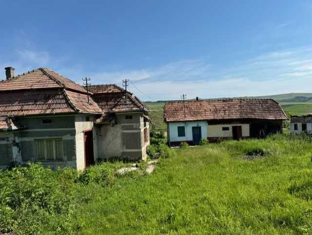 Casa la tara intabulata 14 ari cu gaz, trifazic plus gradina 15 ari