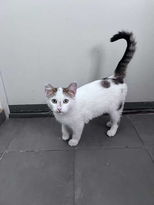 Малыш в добрые и любящие руки