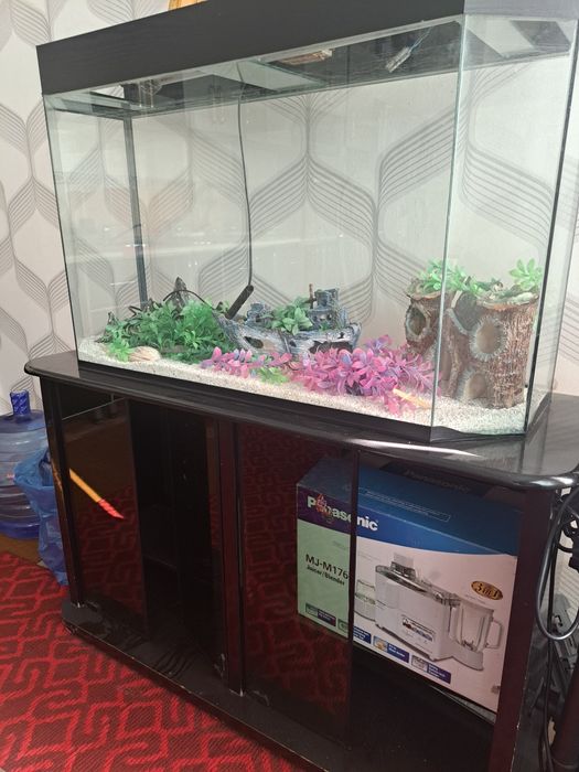 Akvariyum patstavka sotiladi