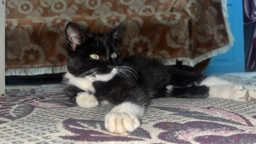 Жаксы карайтын адамга берем