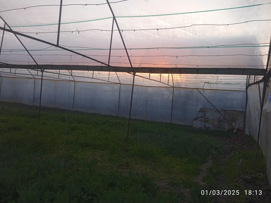 Parnik issiqxona sotiladi