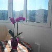 Apartament de inchiriat Predeal