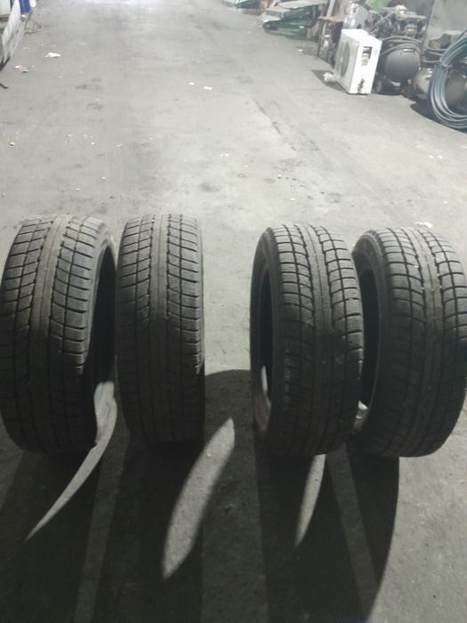 Шины зимние triangle