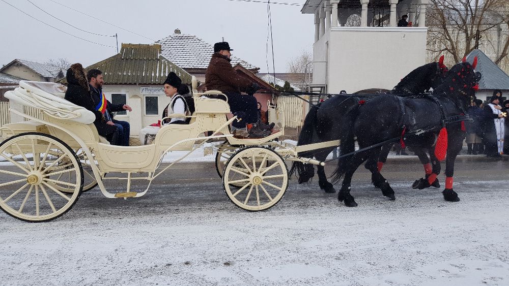 Plimbari cu caleasca, trasura pentru nunti si evenimente