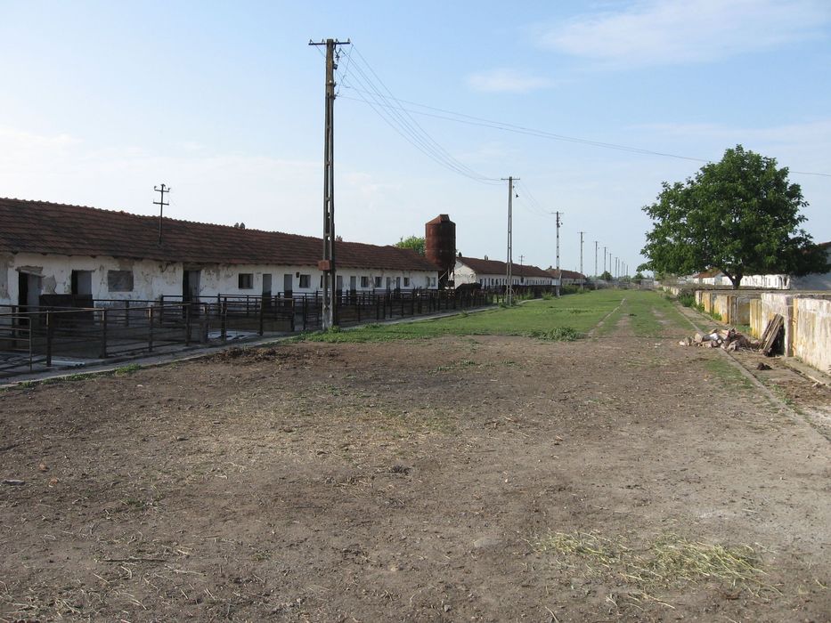 Complex 7 clădiri + teren 11500mp Nădlac (cf persoana fizica)