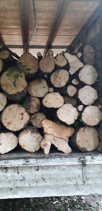 Vand lemne de foc fag