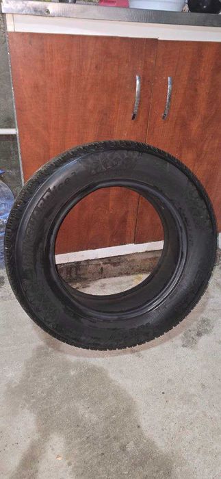 Nexen WINGUARD ice3