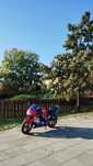 Honda CBR 600 F4
