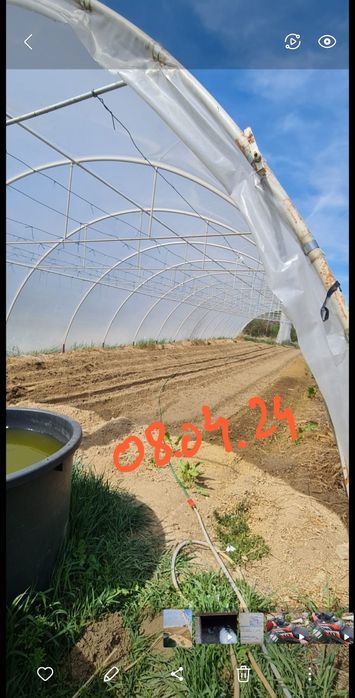 Solar sera leguma 8×30 m