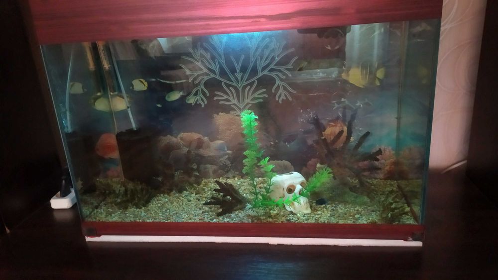 Продам Аквариум 60л