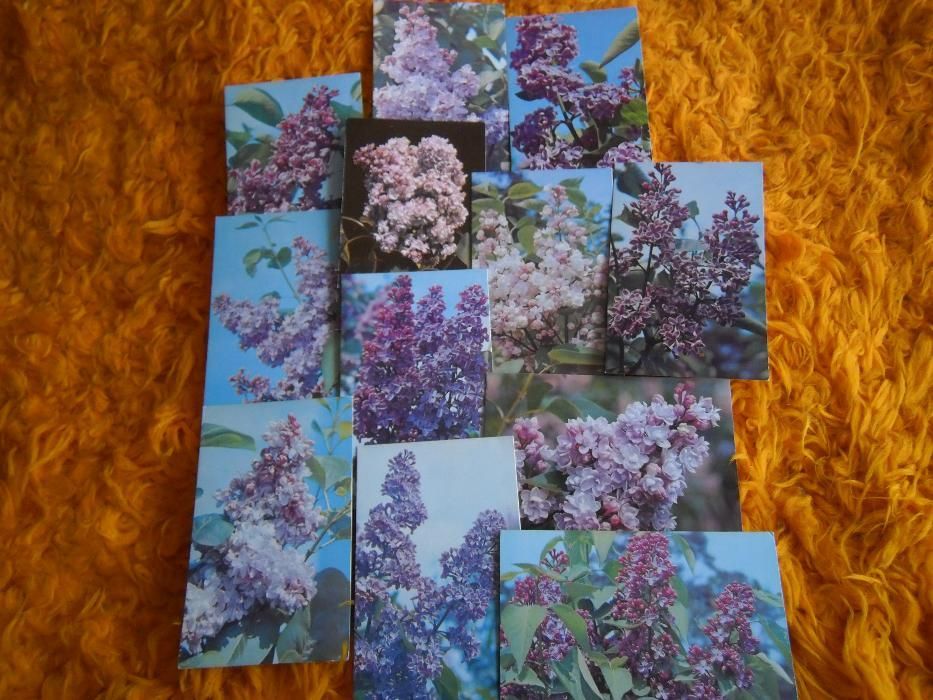 Картички с цветя