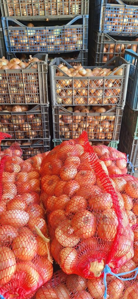 Продавам кромид лук
