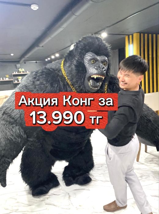 КИНГ КОНГ/Конг/БЕЛЫЙ Мишка/УМКА/Аниматоры/Поздравления