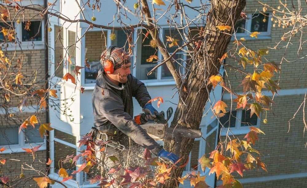 ПИЛИМ ДЕРЕВЬЯ Недорого. Распил.спил. Ағаш кесеміз