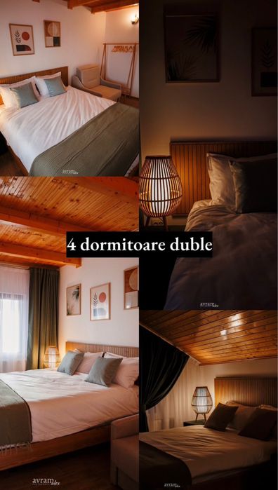 OCUPATA DE REVELION ! Cabana de inchiriat Transapuseana Râmet