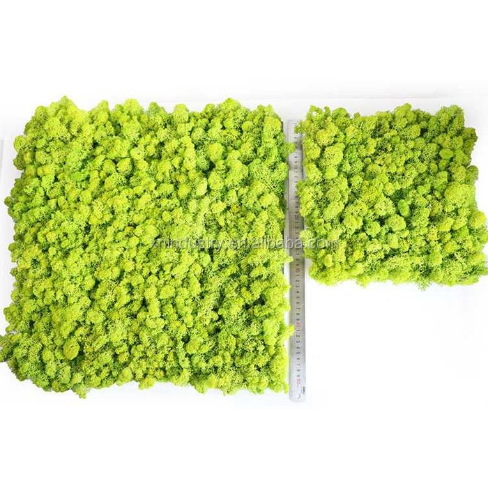 Пана и картини от скандинавски мъх , скандинавски мъх