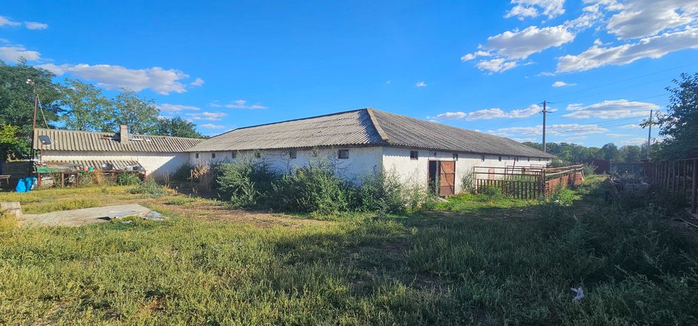 Ferma 6000 mp (cladiri, grajduri, hambar - intravilan)