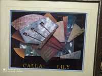 Картина "Galla LiLy" в рамке со стеклом