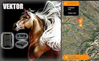 GPS маяк для коровы или лошади  (работает без sim карты)