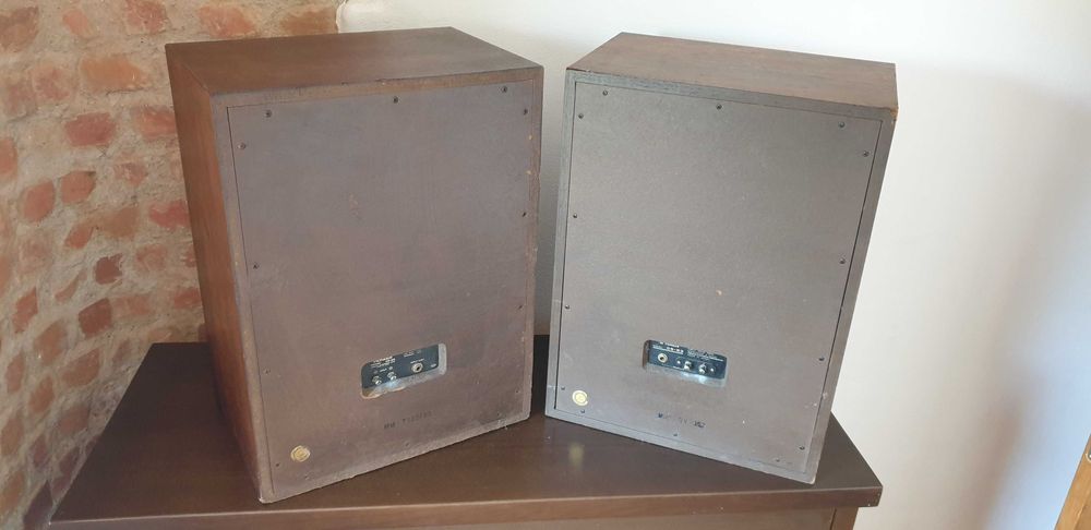 Boxe alnico Pioneer CS-53