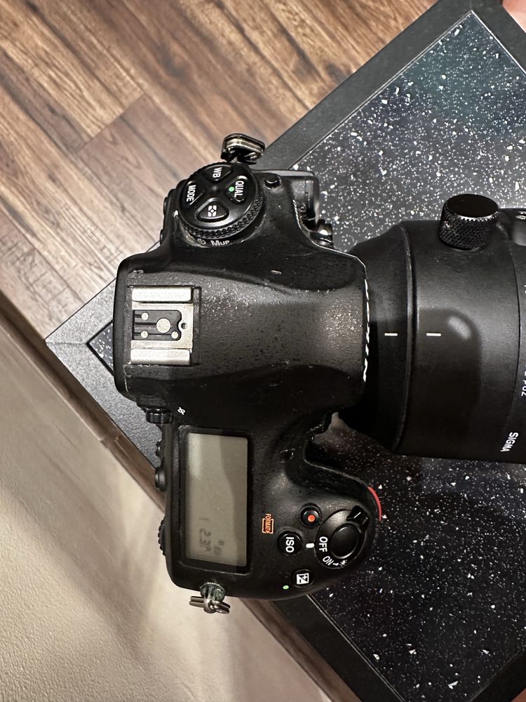 Nikon D850 + Sigma 70-200mm + Sigma 150-600mm