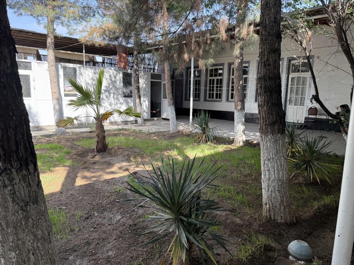 Baron hostel 50.000 ming