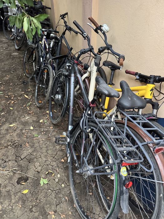 Vand Biciclete Dama mtb Cursiere normale  Germany