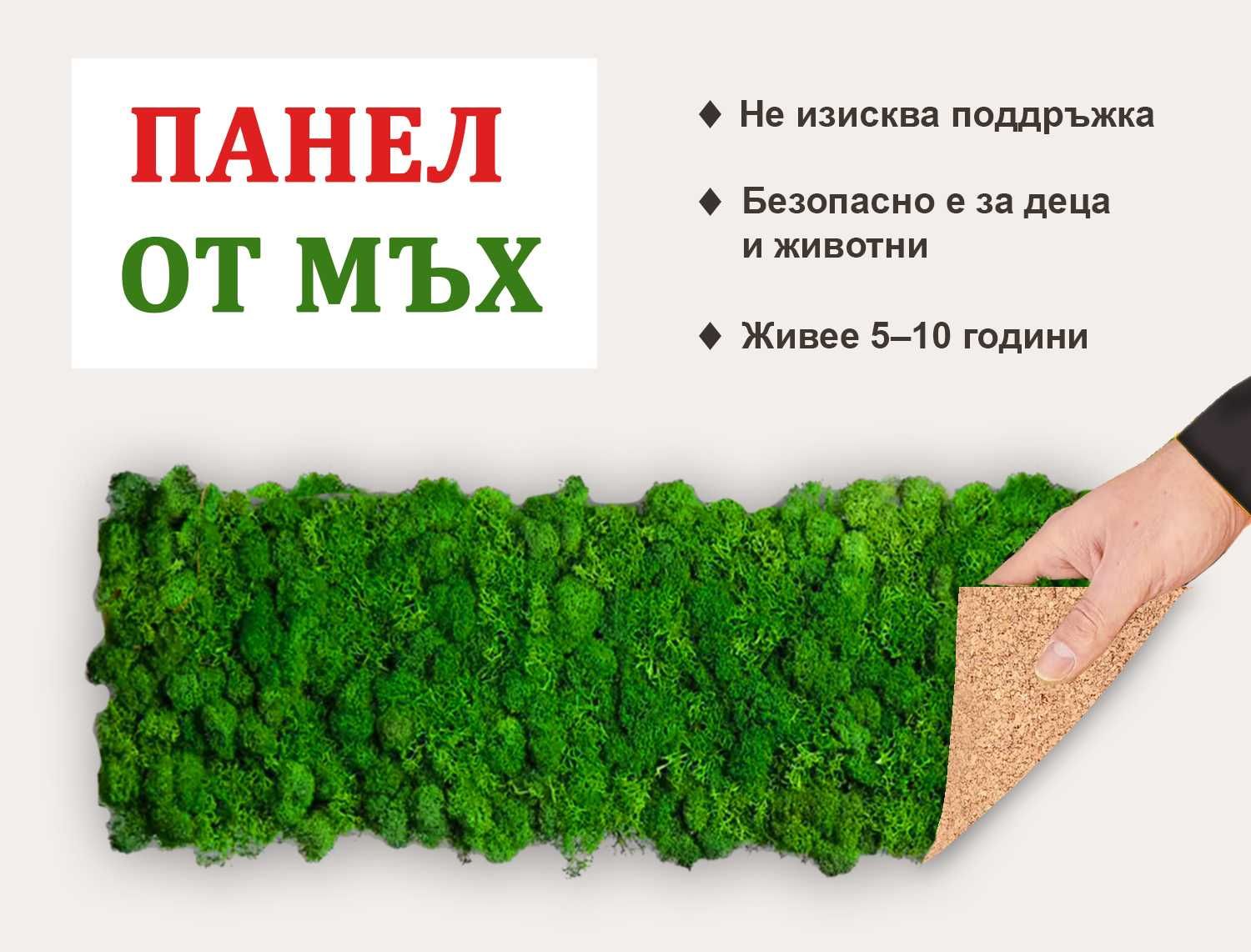 Панел от скандинавски мъх 50х15 см - жива стена във ваш дом