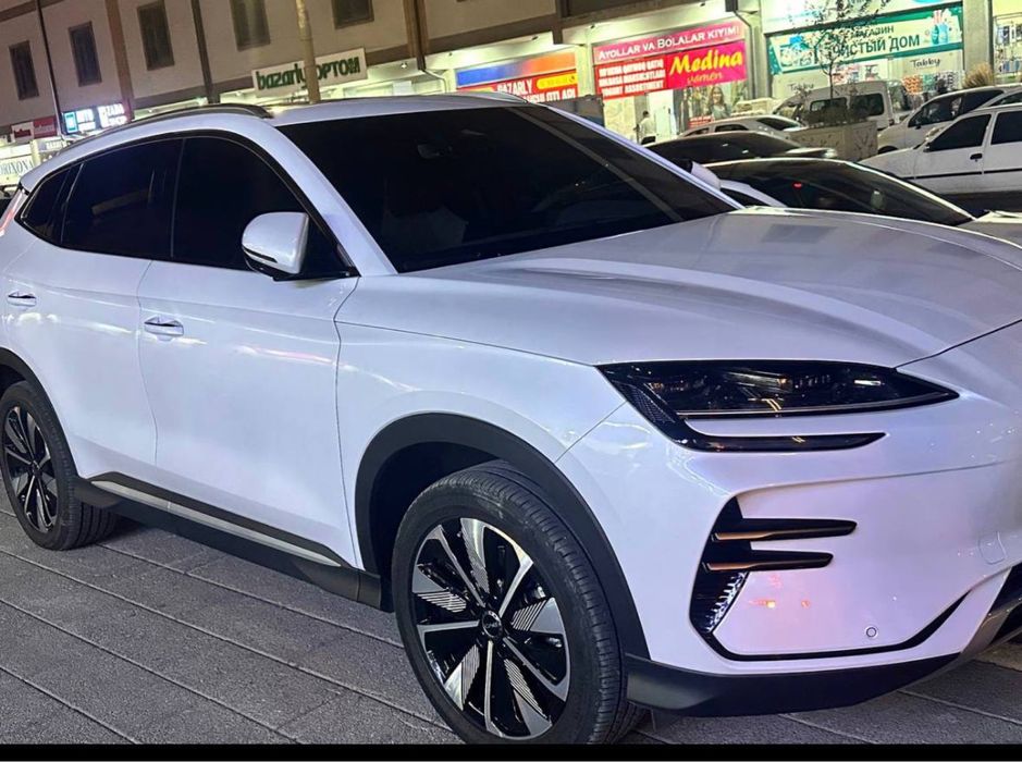 BYD champion 605km 25/25