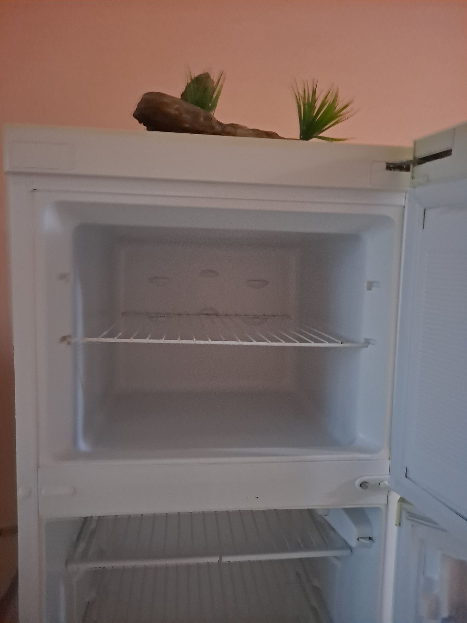 Nord holodelnik holati yaxshi